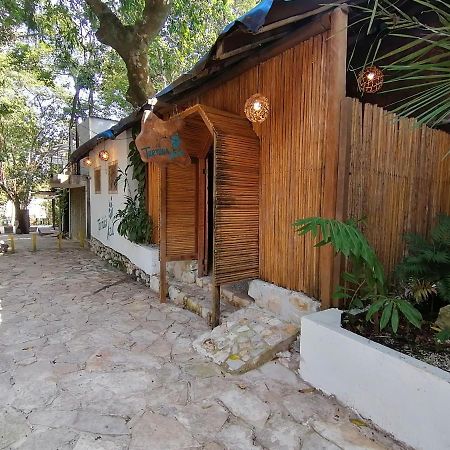 Casa Tortuga Azul Otel Palenque Dış mekan fotoğraf