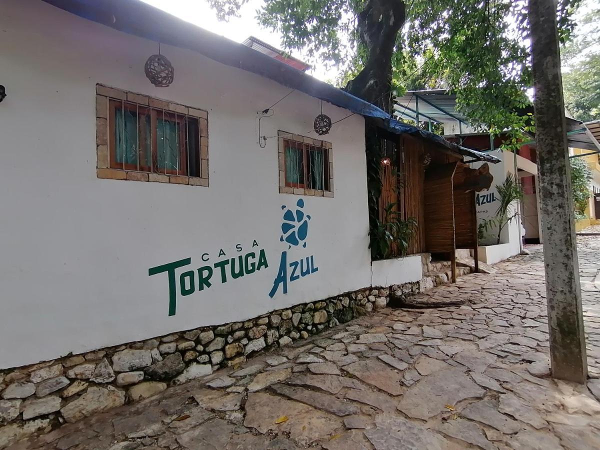 Casa Tortuga Azul Otel Palenque Dış mekan fotoğraf